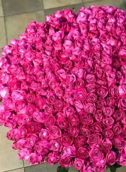 Букет из 501 розы