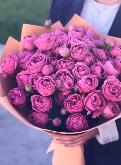 Фиолетовые пионовидные розы