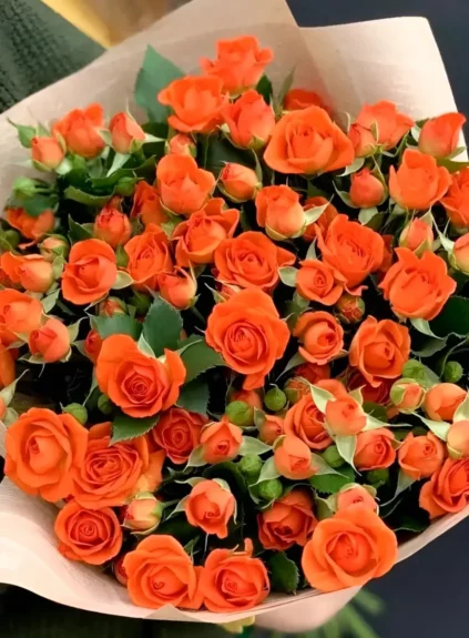 Кустовые розы оранжевые