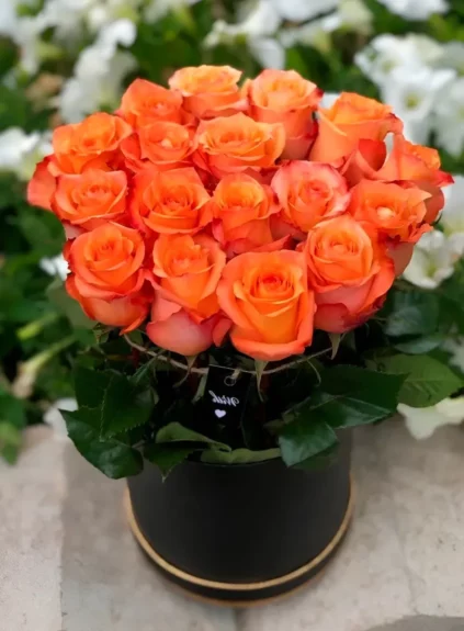 25 оранжевых роз в коробке