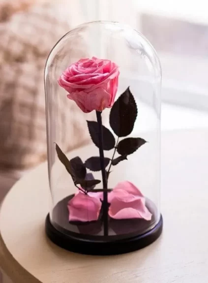 Розовая роза в колбе (small)