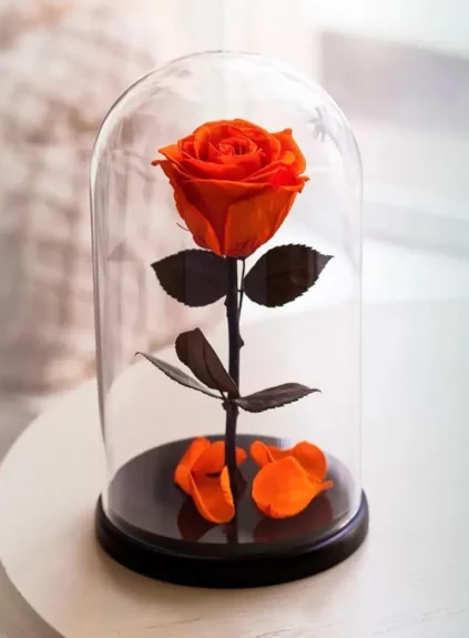 Оранжевая роза в колбе (small)