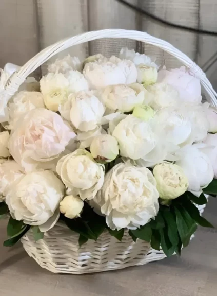 Композиция «Leya»