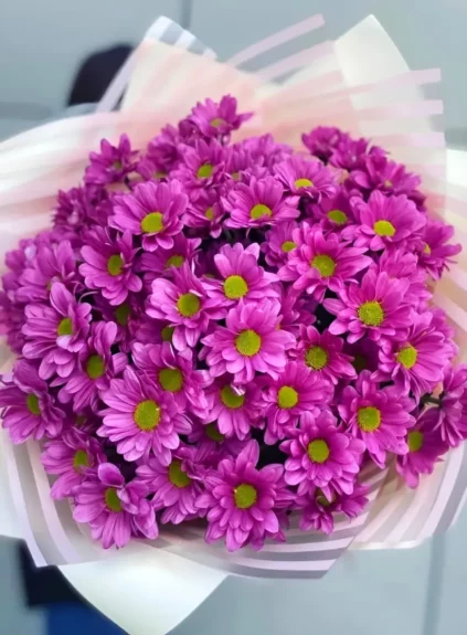 Букет из фиолетовых хризантем