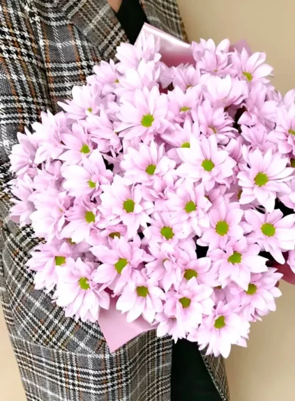 Букет из розовых хризантем