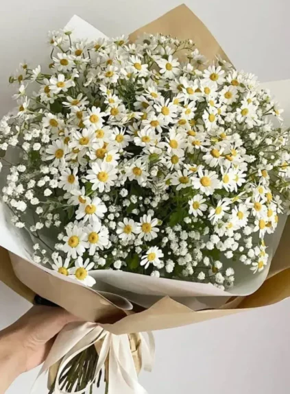 Ромашка кустовая