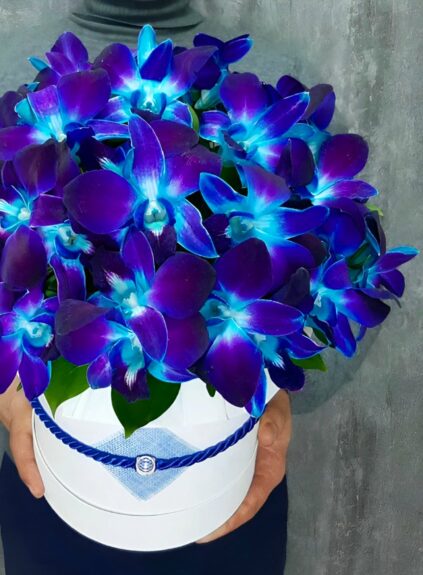 Букет синих орхидей